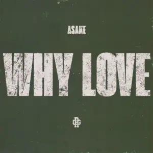 Why Love audio by Asake