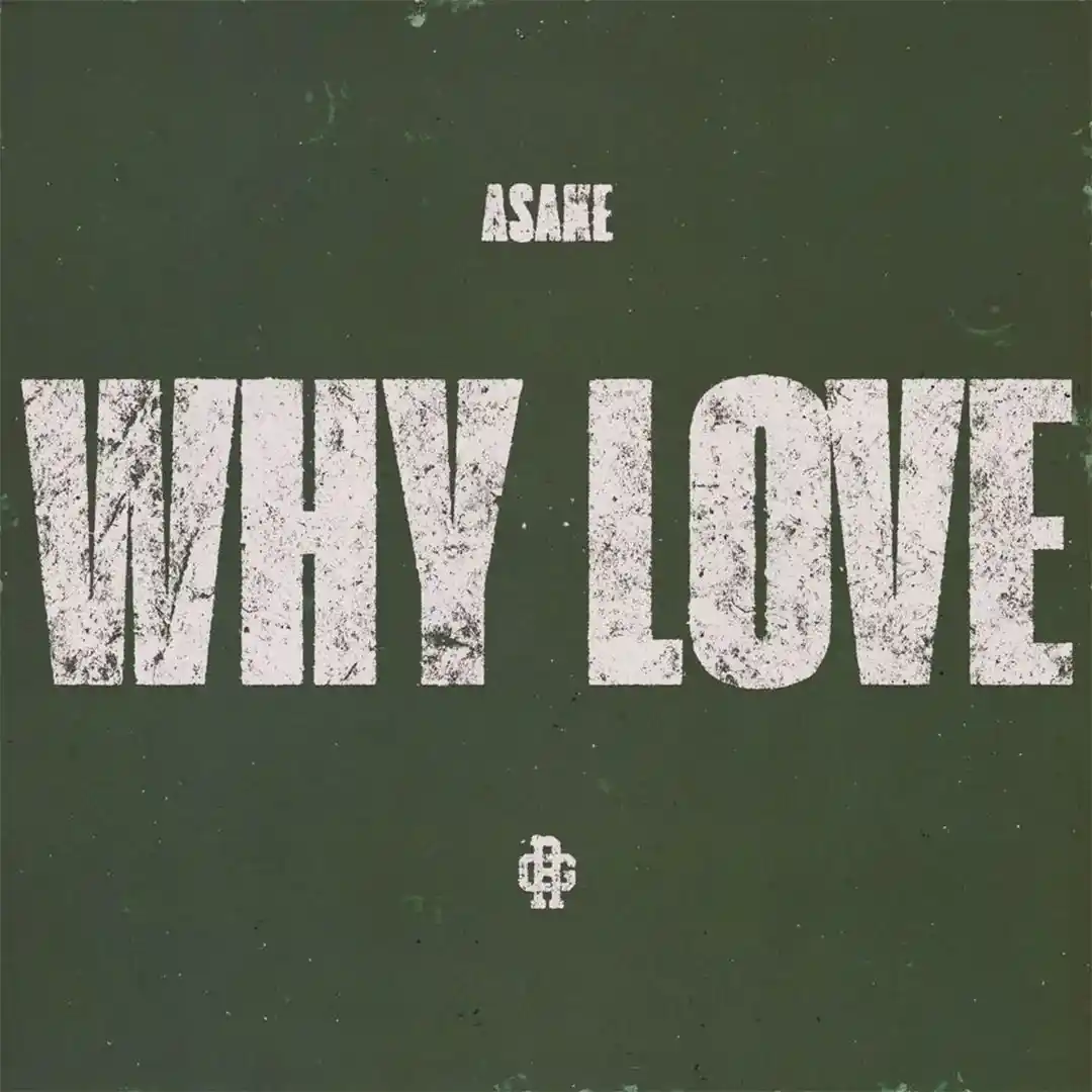 Why Love audio by Asake