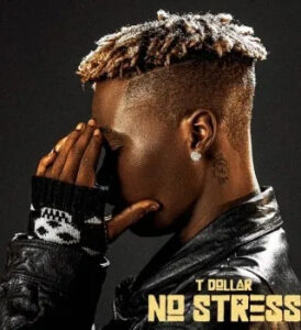 No Stress EP audio by T Dollar