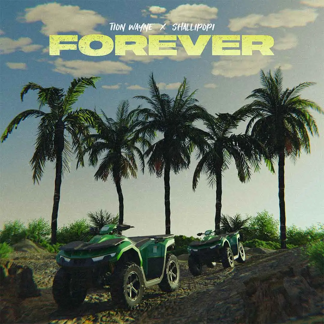 Forever audio by Tion Wayne feat. Shallipopi