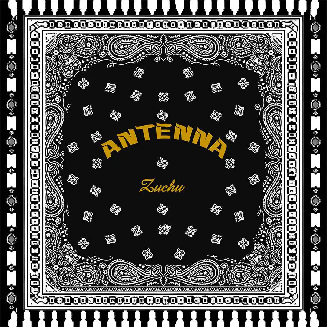 Antenna audio by Zuchu