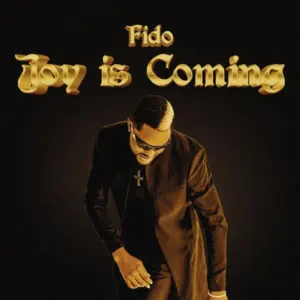 Joy Is Coming audio by Fido