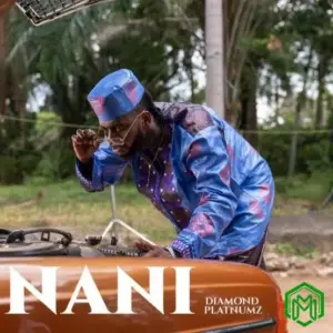 Nani audio by Diamond Platnumz