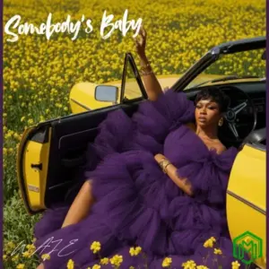 Somebody’s Baby audio by Waje