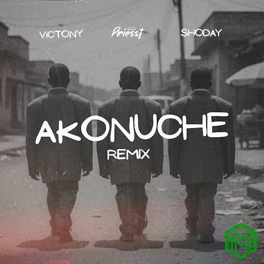 Priesst - Akonuche (Remix) ft. Shoday, Victony