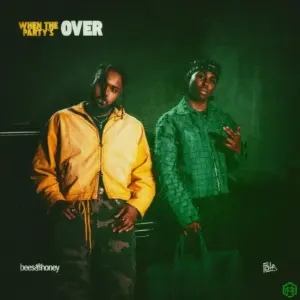 When The Party’s Over audio by bees & honey feat. FOLA