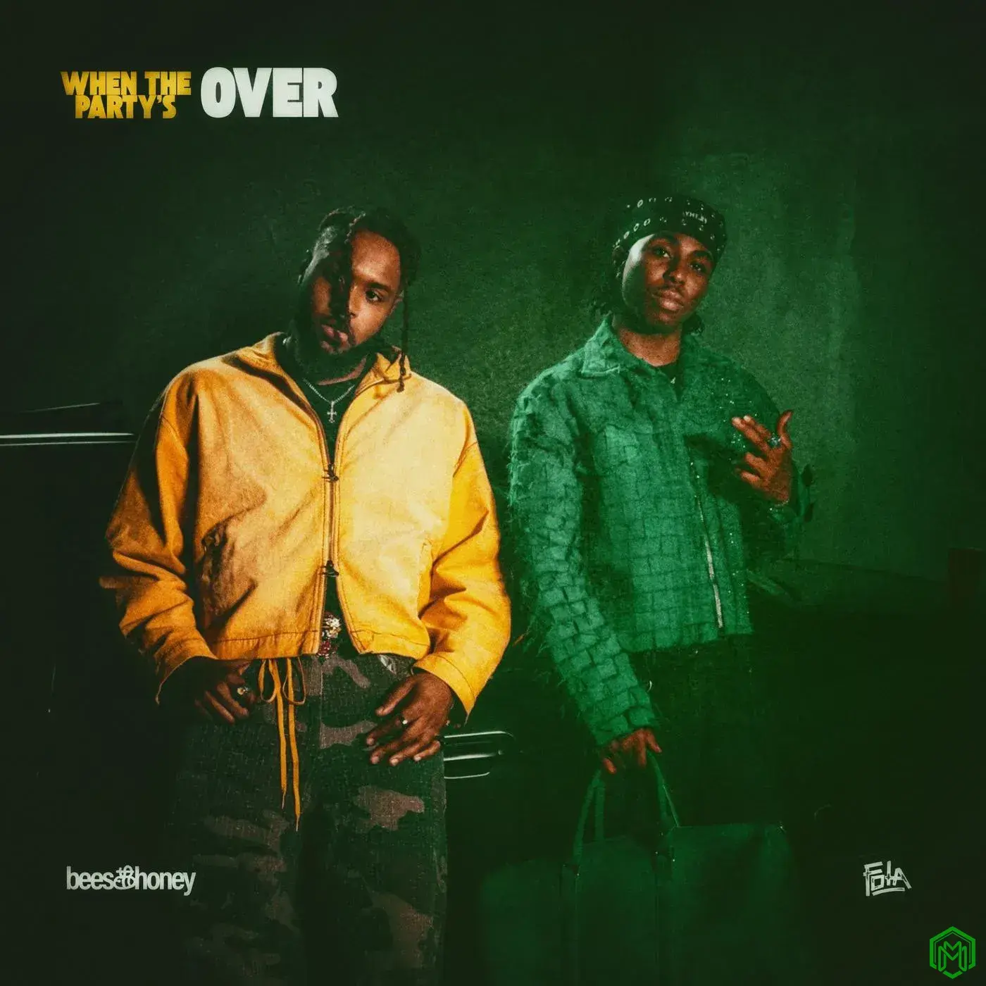 When The Party’s Over audio by bees & honey feat. FOLA