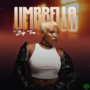 Umbrella audio by Big Trei