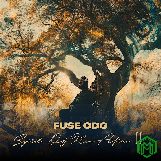Keep That Fire audio by Fuse ODG