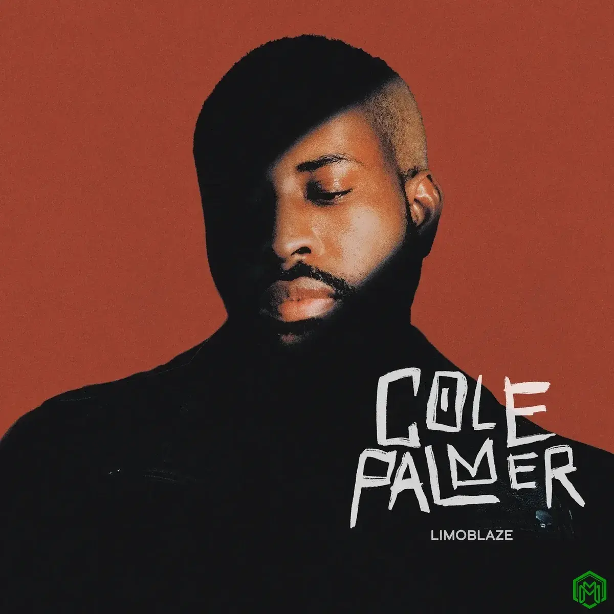 Cole Palmer audio by Limoblaze feat. Andy Mineo and DC3