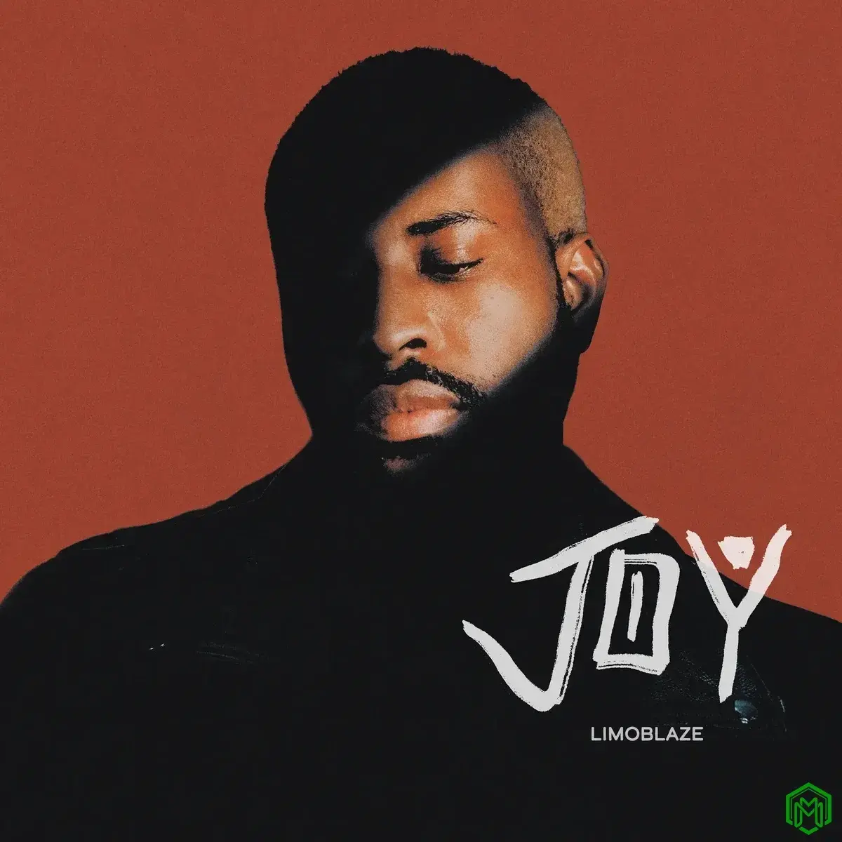 JOY audio by Limoblaze feat. Elle Limebear