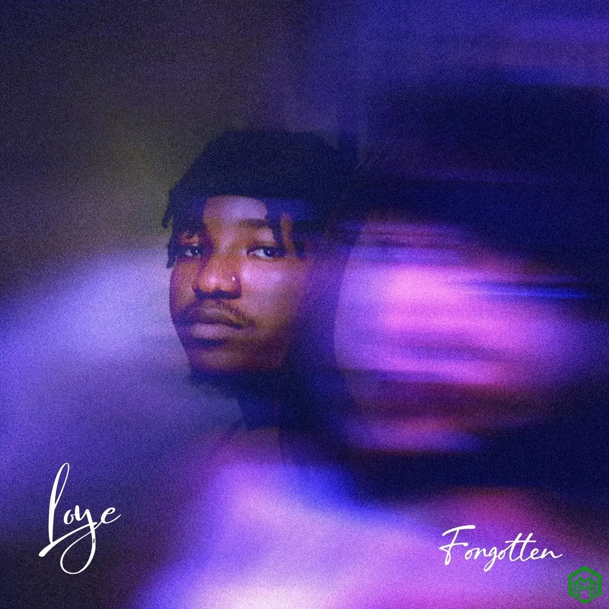 Forgotten audio by Loye