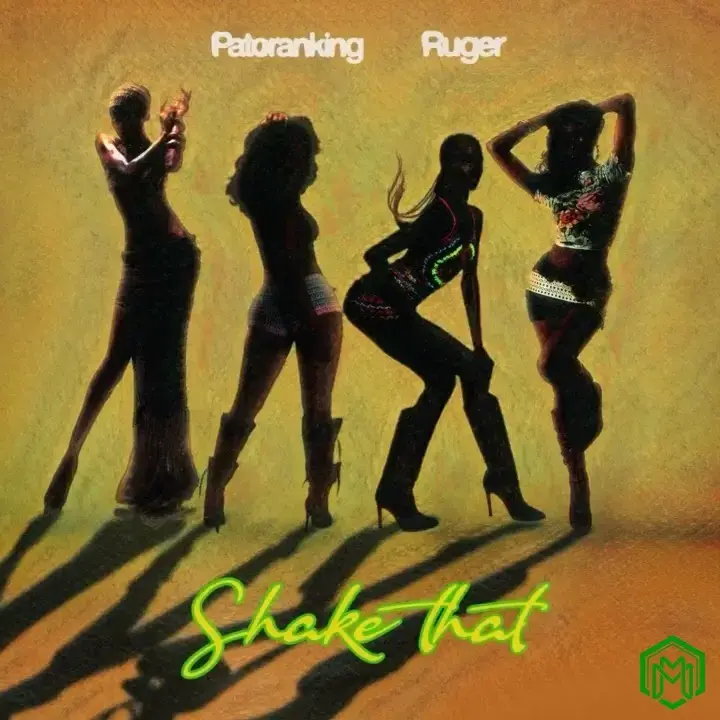 Shake That audio by Patoranking feat. Ruger