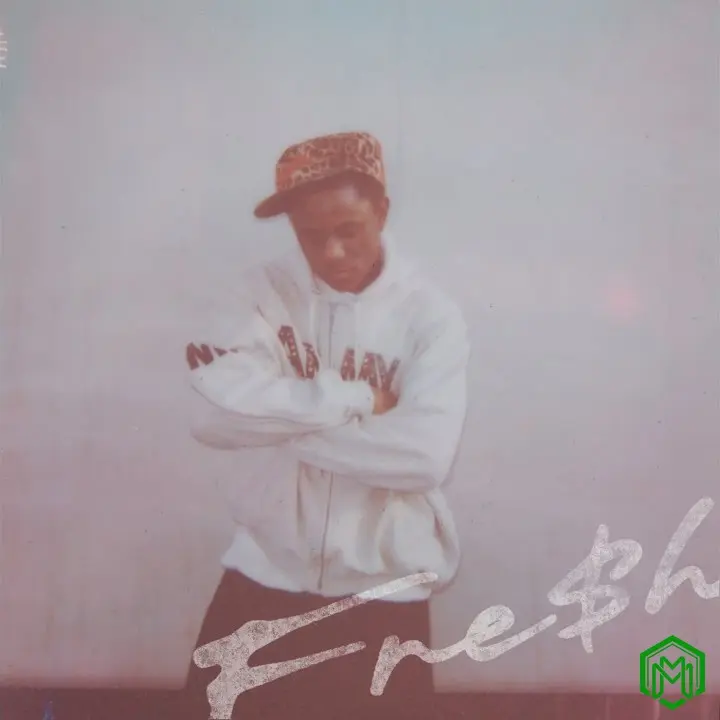 FRE$H audio by Victony