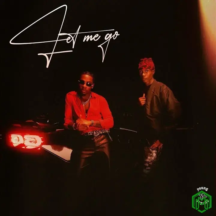 Let Me Go audio by Young Legend feat. Joeboy, Abefe