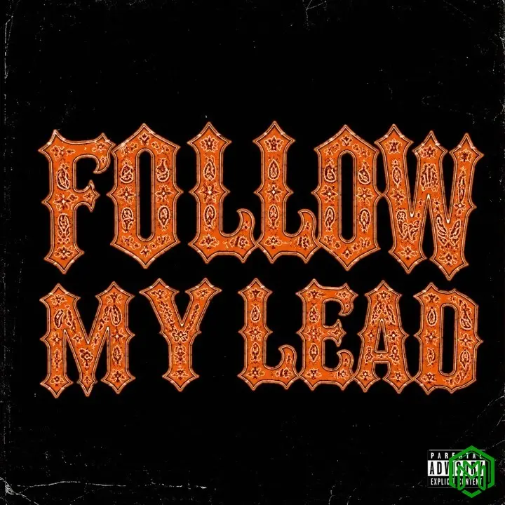 Follow My Lead audio by ZerryDL