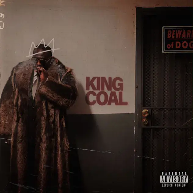 KING COAL Album audio by Wande Coal