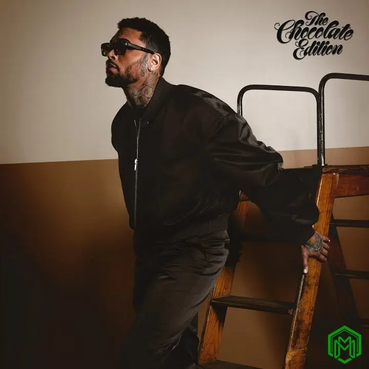 Man On A Mission audio by Chris Brown feat. Wizkid