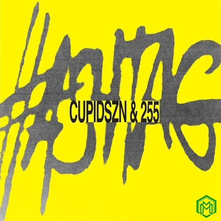 Hashtag audio by CupidSZN feat. 255