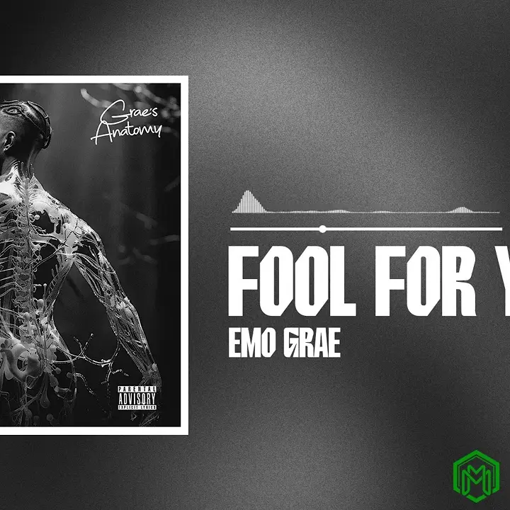 Fool For You audio by EMO Grae