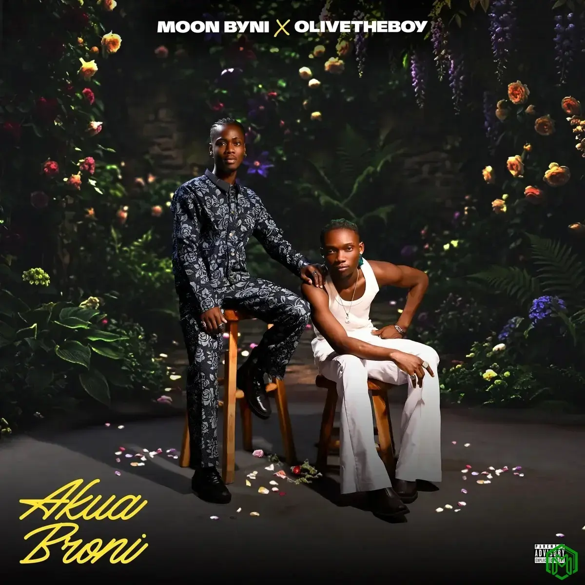 Akua Broni audio by Moon Byni