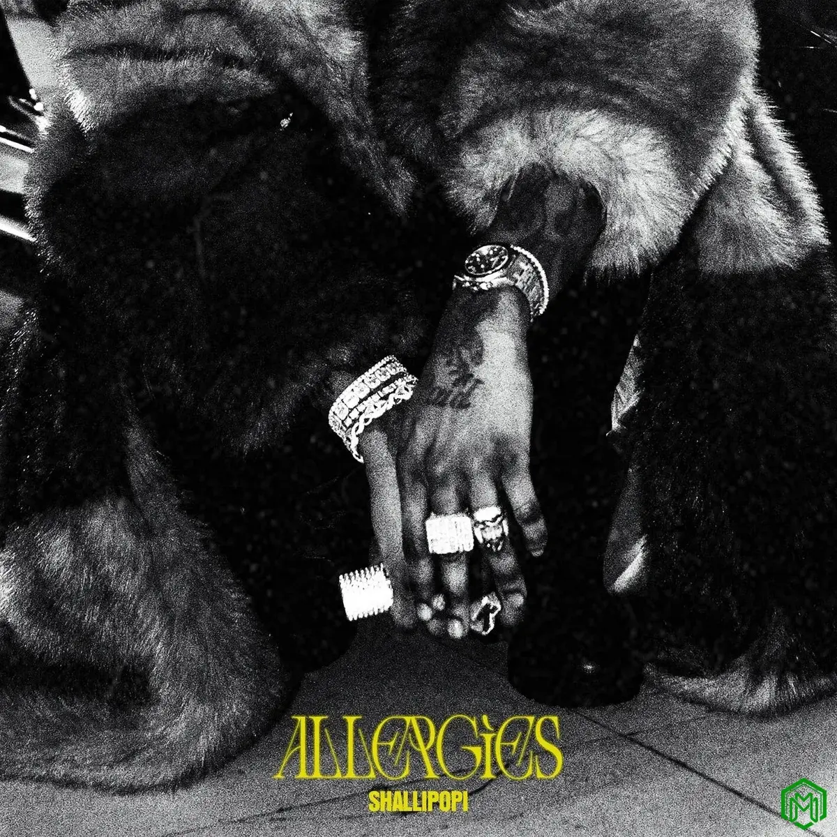 Allergies audio by Shallipopi