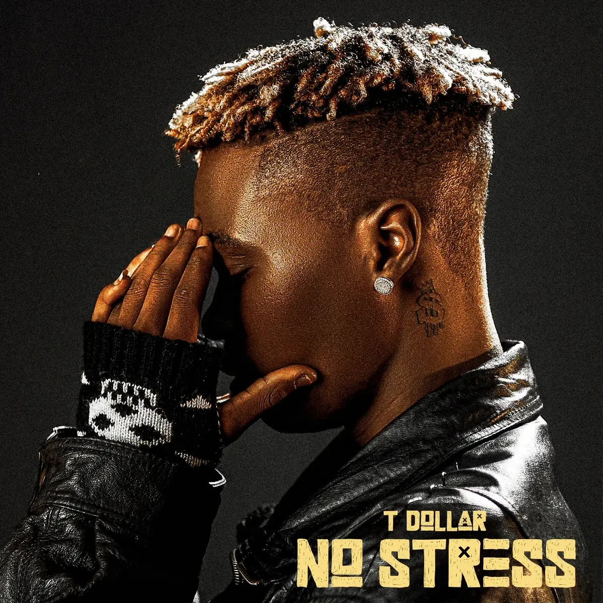 No Stress audio by T Dollar