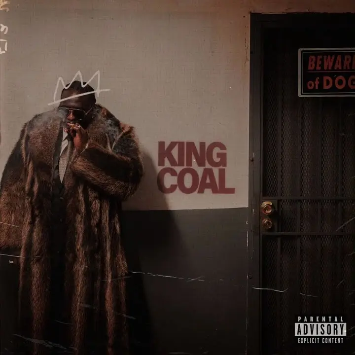 Nobody Knows audio by Wande Coal