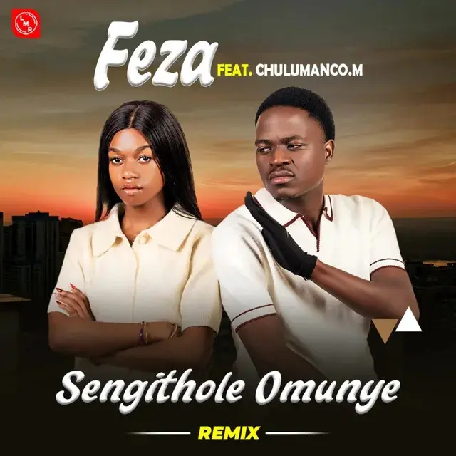 Sengithole Omunye (Remix) audio by Feza feat. Chulumanco M