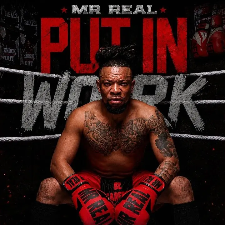 Put In Work audio by Mr Real