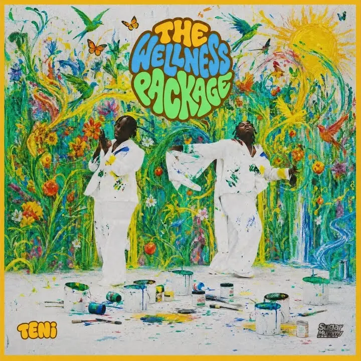 The Wellness Package audio by Teni