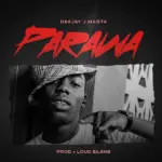Parawa audio by Deejay J Masta