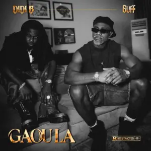 Gaou la audio by Didi B feat. 6uff