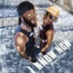 I Know Now audio by Dremo feat. Teni