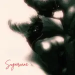 Sugarcane audio by Oladapo
